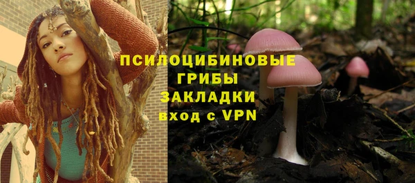 PSILOCYBIN Новокубанск